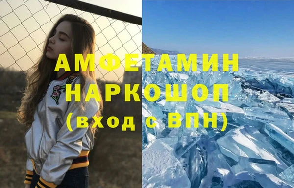 гашик Сосновый Бор