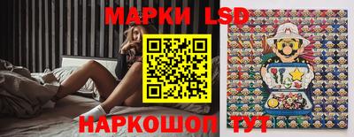 spice Кингисепп