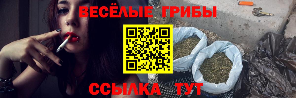 Галлюциногенные грибы мицелий  Псилоцибиновые грибы Magic Shrooms  Вход с VPN  Кулебаки 